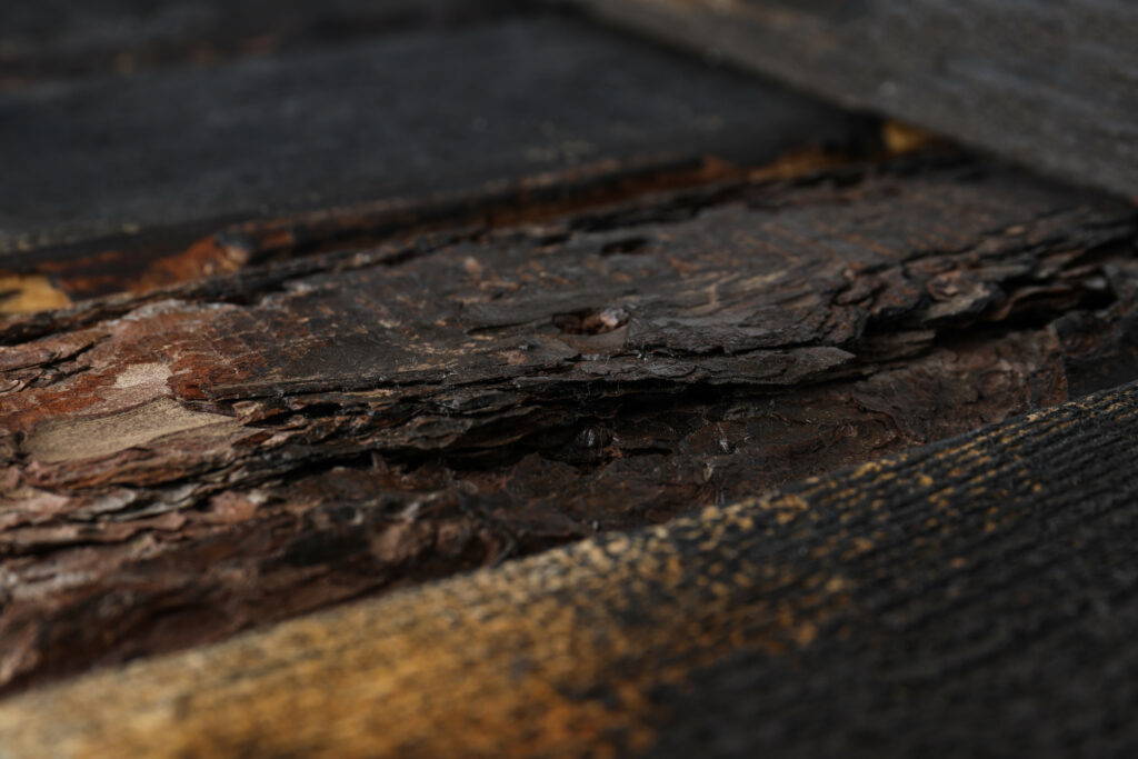 damp rotting wooden beam before encapsulation for crawl space installation